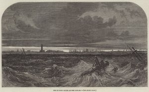 The Sulineh Mouth of the Danube by Samuel Read